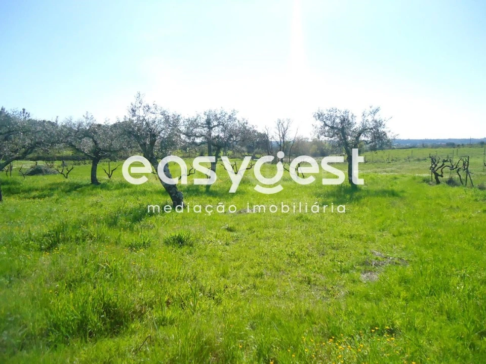 Terreno Agricola ou Rústico para Venda em Orca Foto 10
