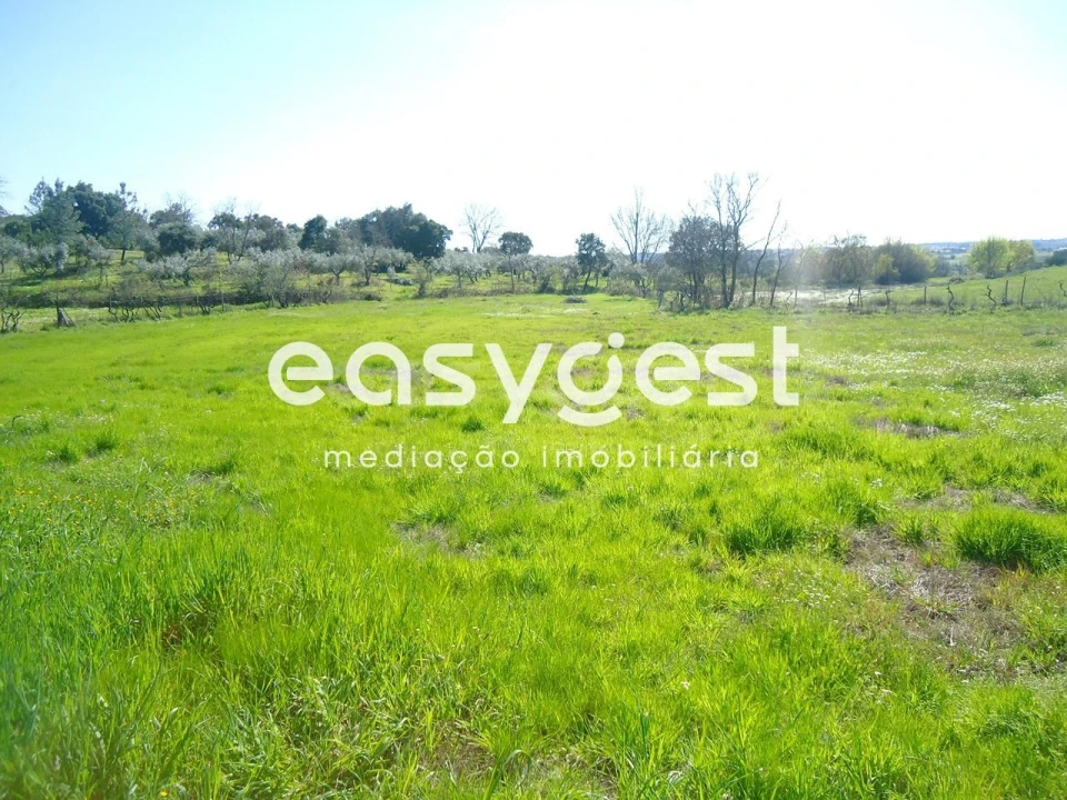 Terreno Agricola ou Rústico para Venda em Orca Foto 11