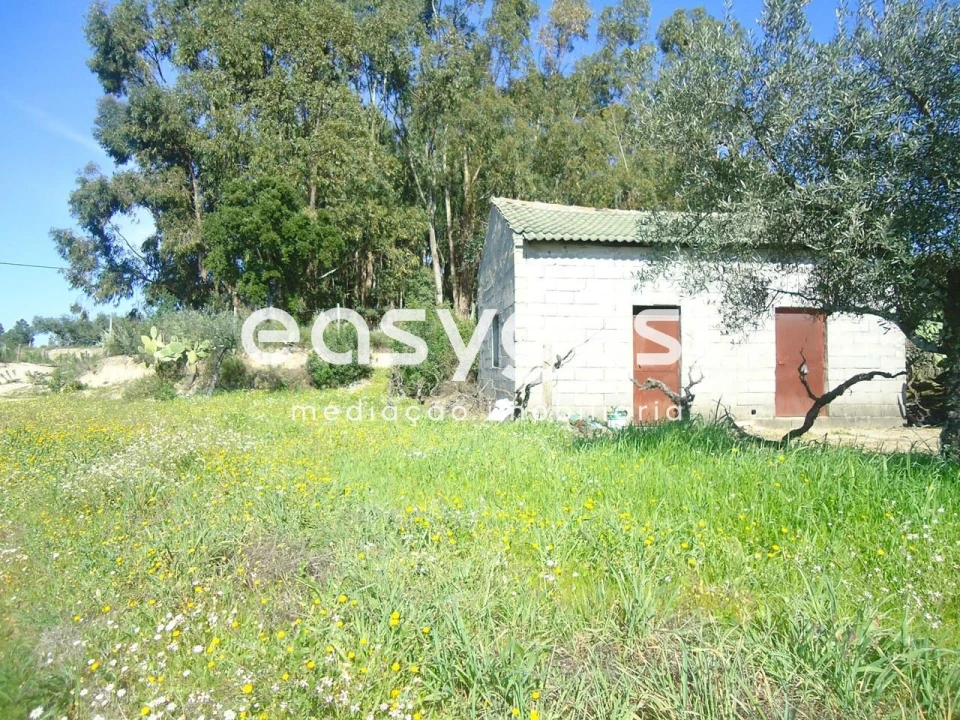 Terreno Agricola ou Rústico para Venda em Orca Foto 12