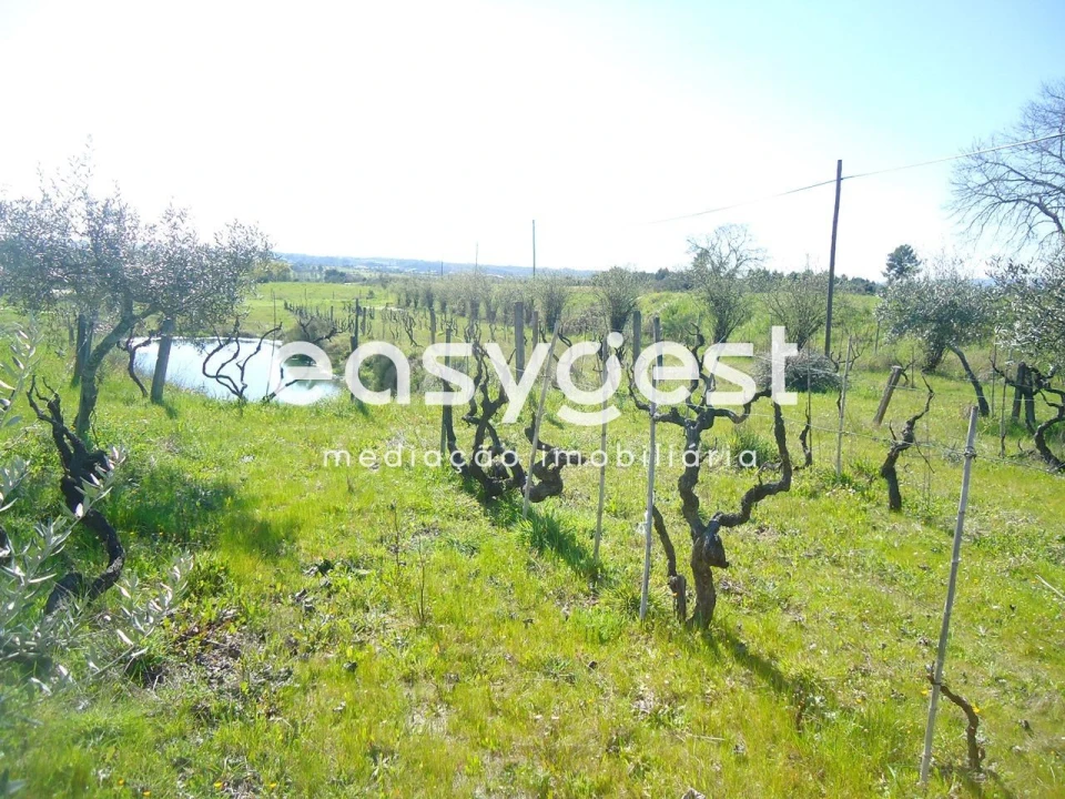 Terreno Agricola ou Rústico para Venda em Orca Foto 17
