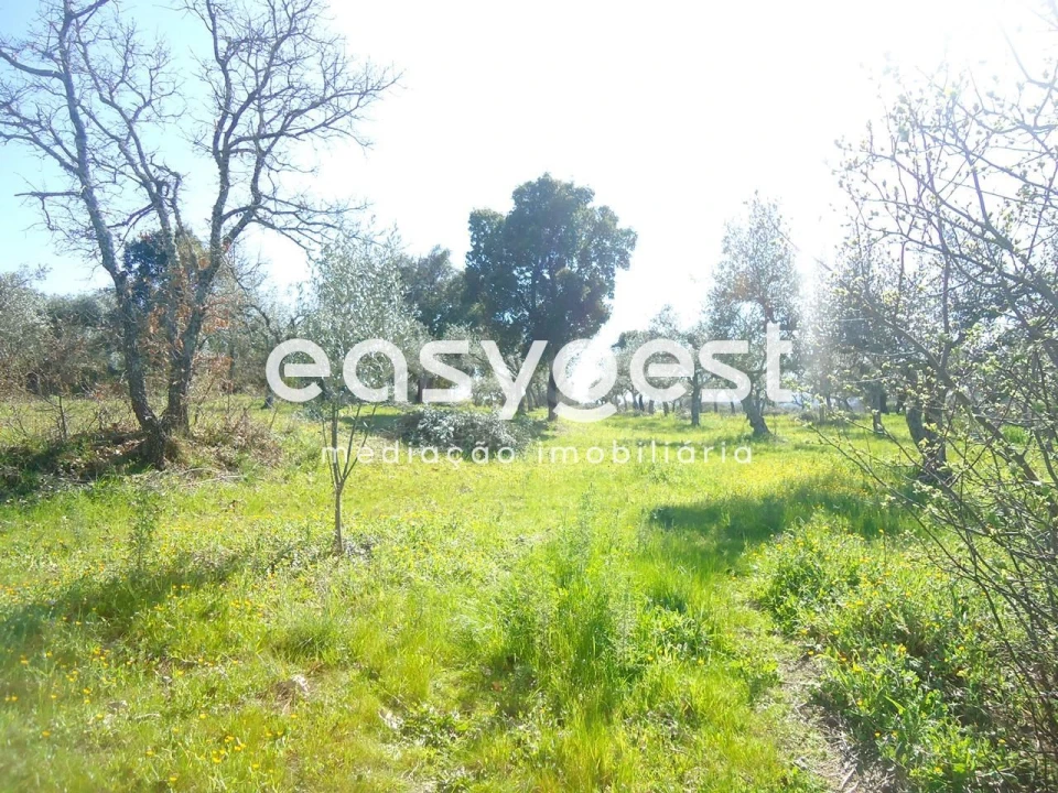 Terreno Agricola ou Rústico para Venda em Orca Foto 21