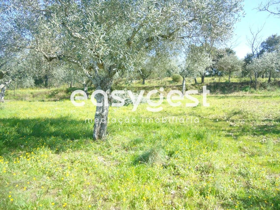 Terreno Agricola ou Rústico para Venda em Orca Foto 22