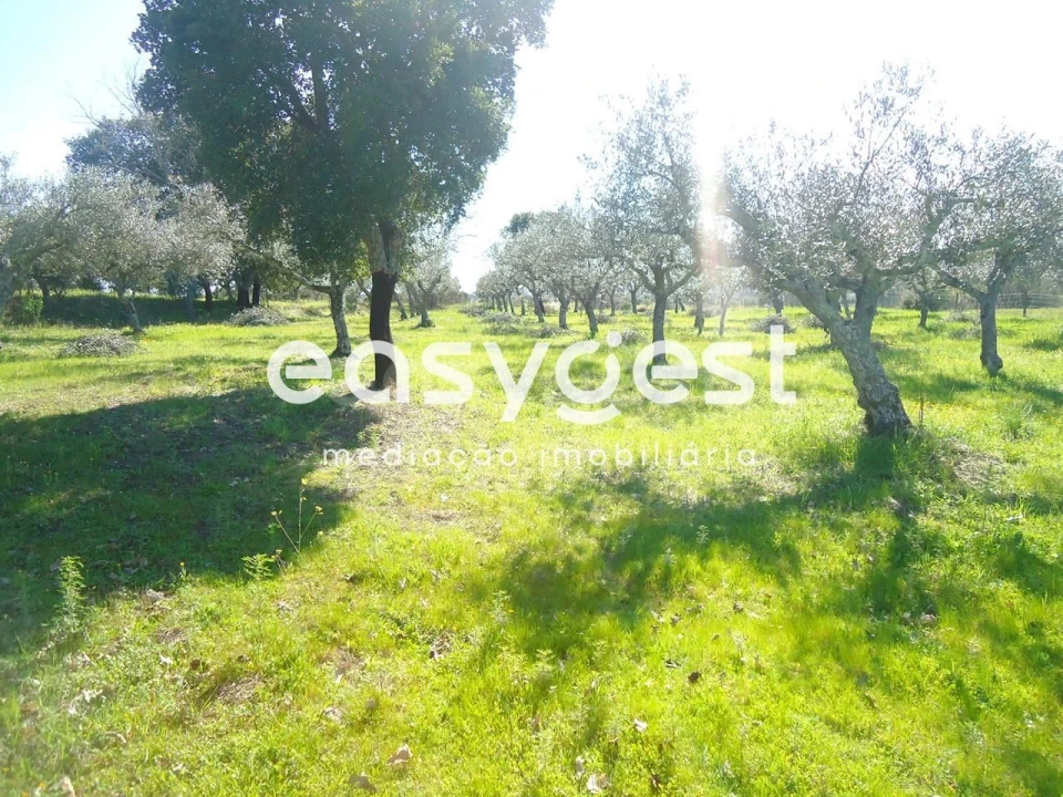 Terreno Agricola ou Rústico para Venda em Orca Foto 23