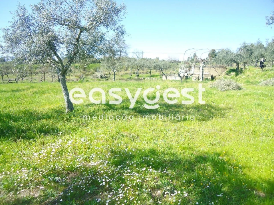 Terreno Agricola ou Rústico para Venda em Orca Foto 27