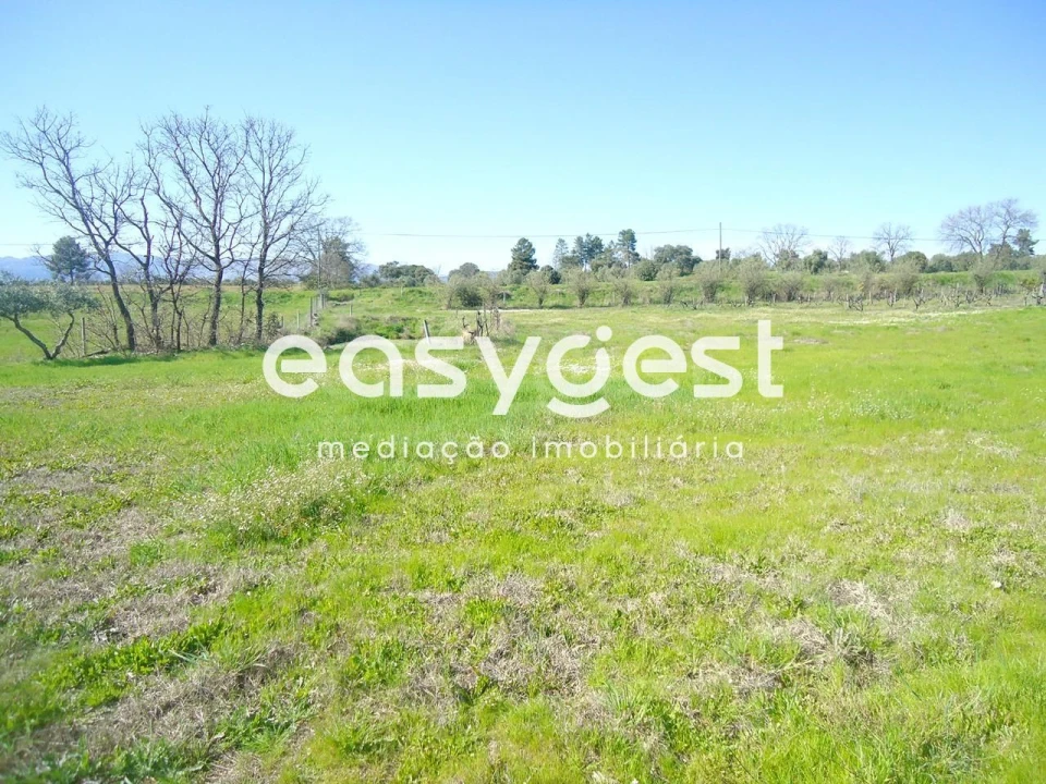 Terreno Agricola ou Rústico para Venda em Orca Foto 34