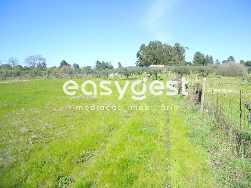 Terreno Agricola ou Rústico para Venda em Orca Foto 35