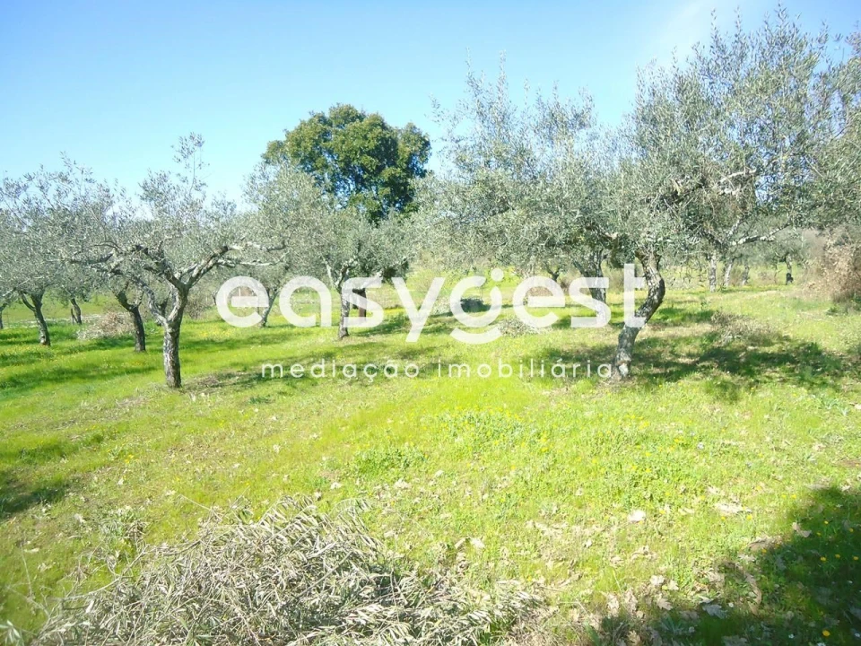 Terreno Agricola ou Rústico para Venda em Orca Foto 43