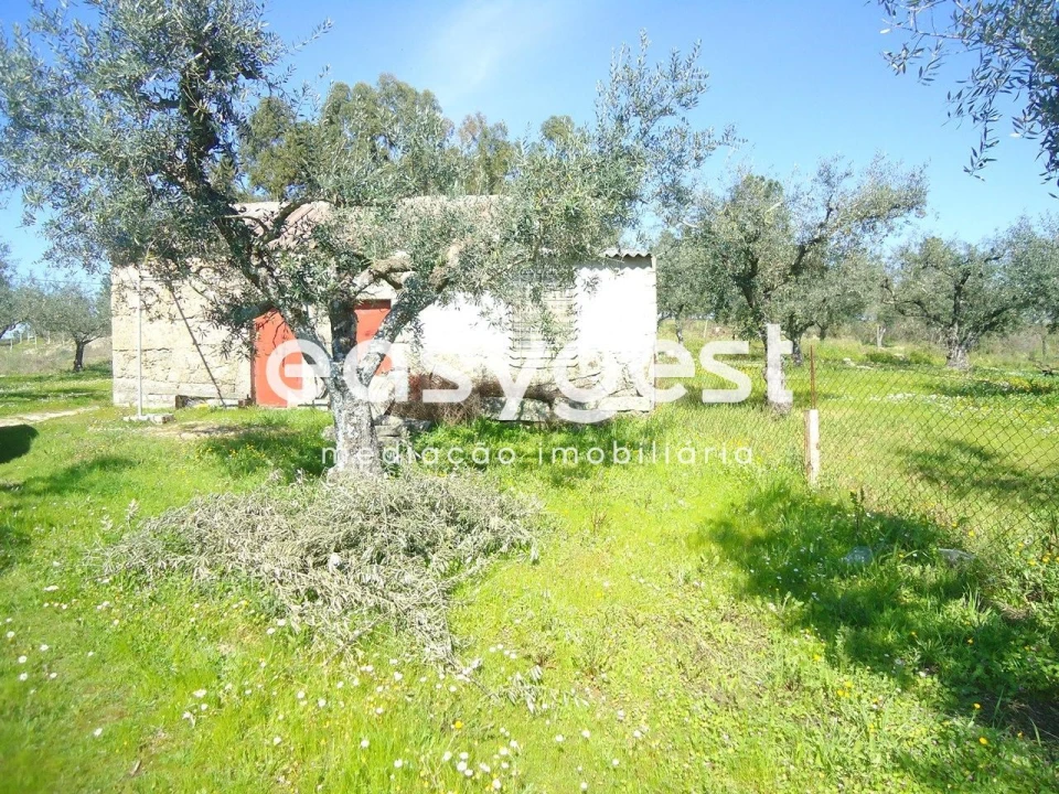 Terreno Agricola ou Rústico para Venda em Orca Foto 44