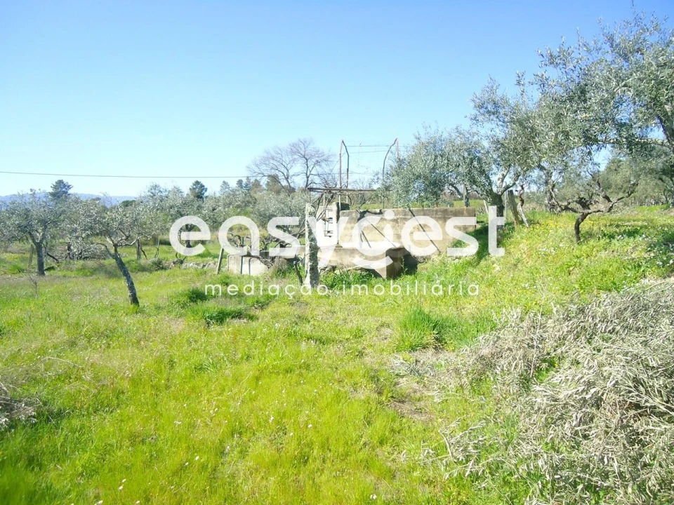 Terreno Agricola ou Rústico para Venda em Orca Foto 45