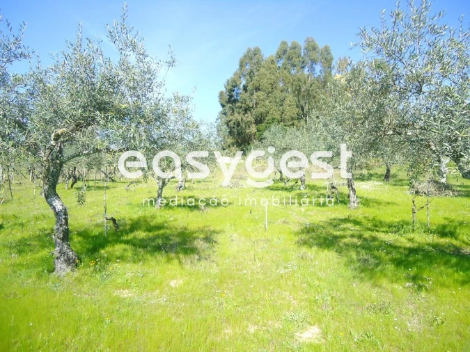 Terreno Agricola ou Rústico para Venda em Orca Foto 2