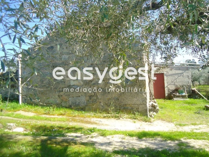 Terreno Agricola ou Rústico para Venda em Orca Foto 9