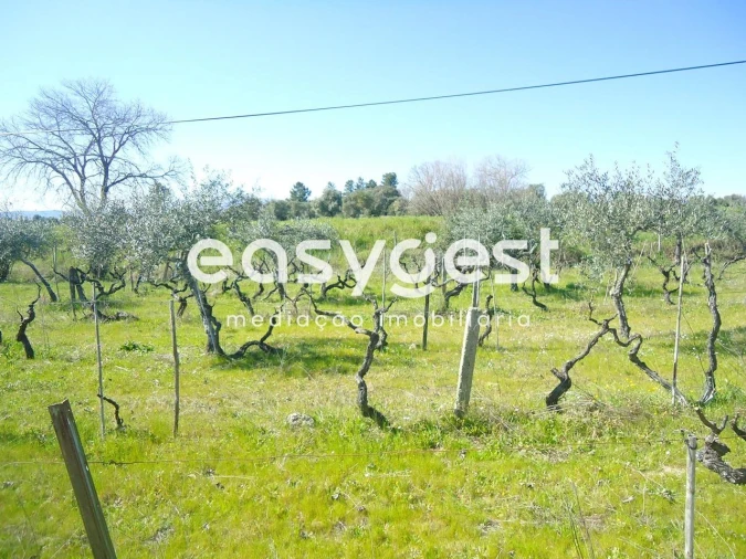 Terreno Agricola ou Rústico para Venda em Orca Foto 16