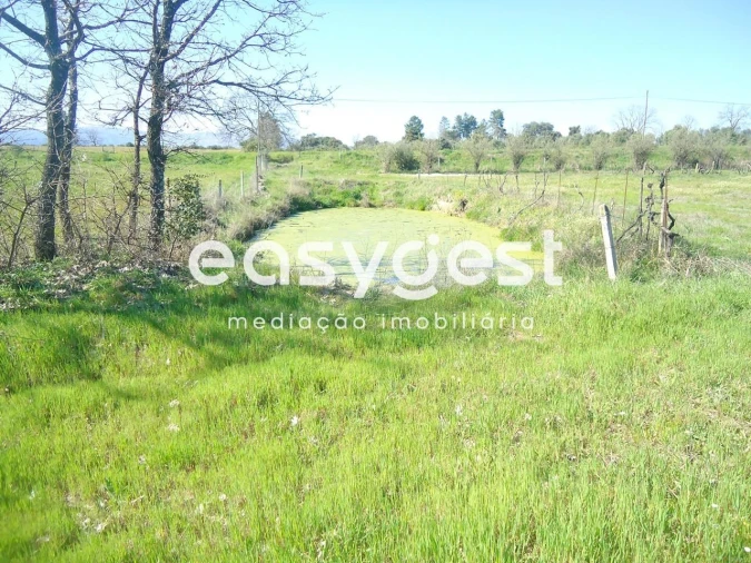 Terreno Agricola ou Rústico para Venda em Orca Foto 18