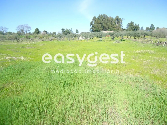 Terreno Agricola ou Rústico para Venda em Orca Foto 19