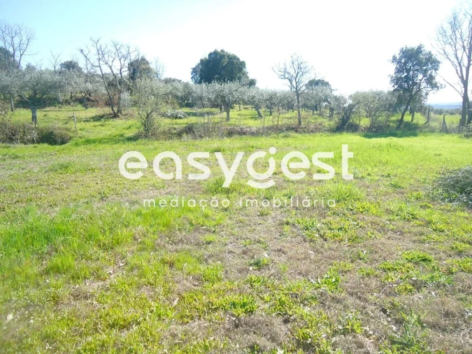 Terreno Agricola ou Rústico para Venda em Orca Foto 20