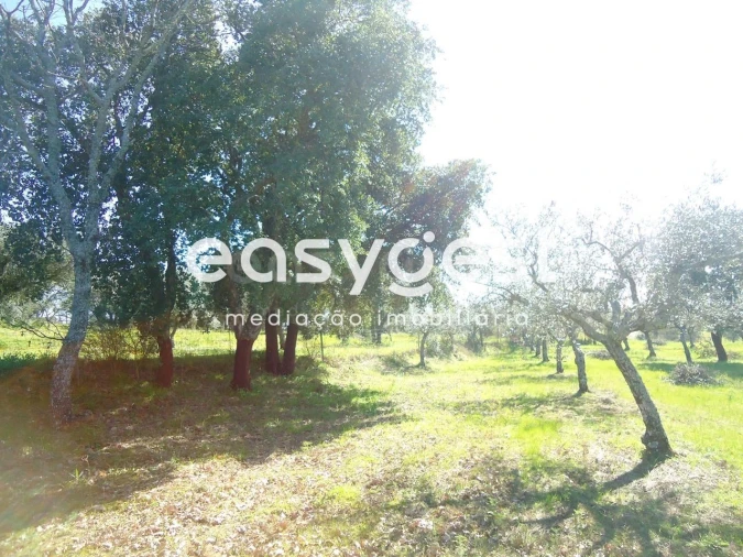 Terreno Agricola ou Rústico para Venda em Orca Foto 25