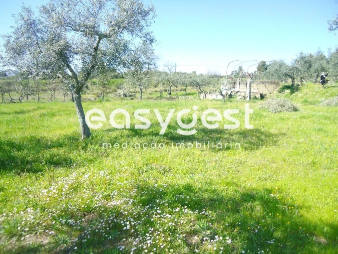 Terreno Agricola ou Rústico para Venda em Orca Foto 27
