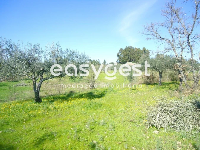 Terreno Agricola ou Rústico para Venda em Orca Foto 29