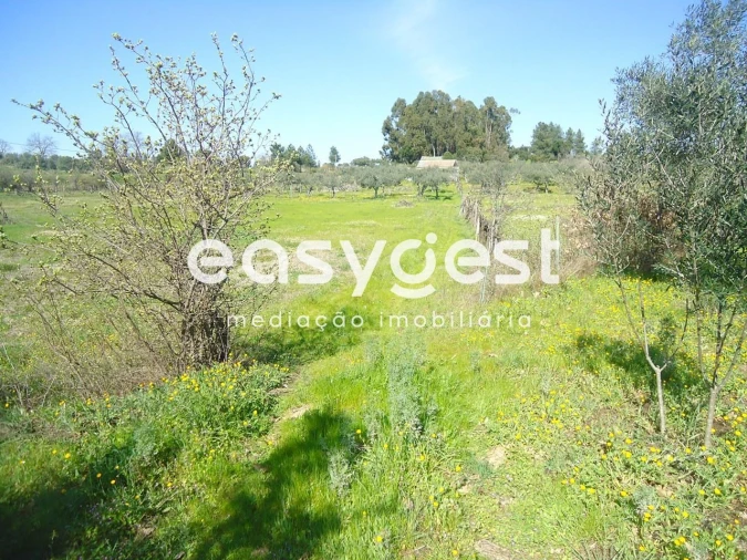 Terreno Agricola ou Rústico para Venda em Orca Foto 30