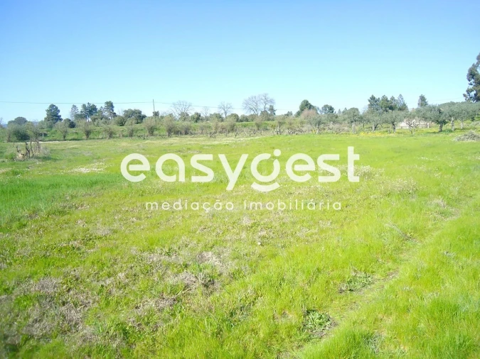 Terreno Agricola ou Rústico para Venda em Orca Foto 33