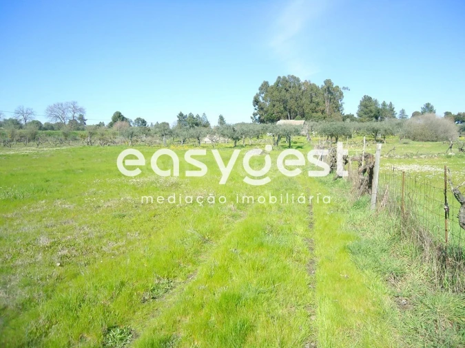 Terreno Agricola ou Rústico para Venda em Orca Foto 35