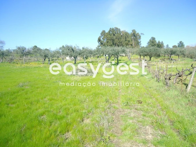 Terreno Agricola ou Rústico para Venda em Orca Foto 36
