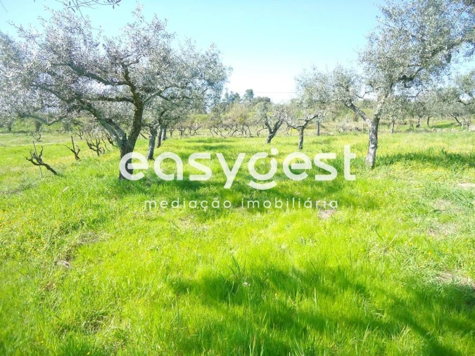Terreno Agricola ou Rústico para Venda em Orca Foto 37