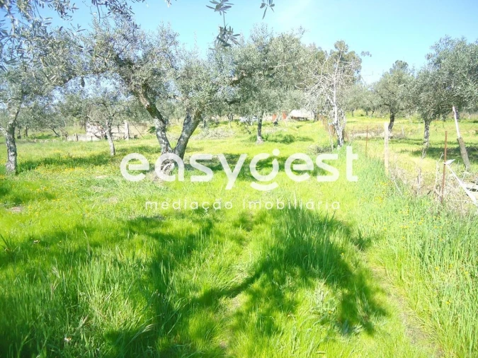 Terreno Agricola ou Rústico para Venda em Orca Foto 38