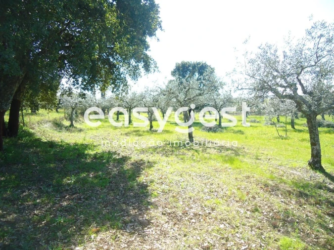 Terreno Agricola ou Rústico para Venda em Orca Foto 41