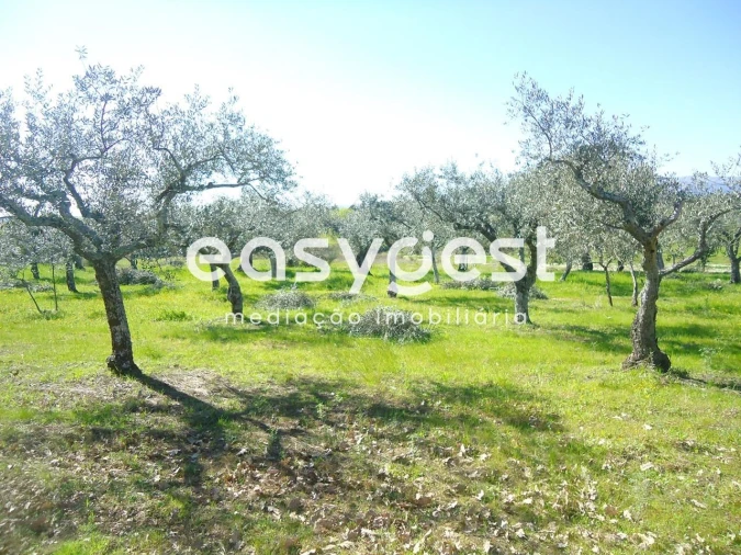 Terreno Agricola ou Rústico para Venda em Orca Foto 42