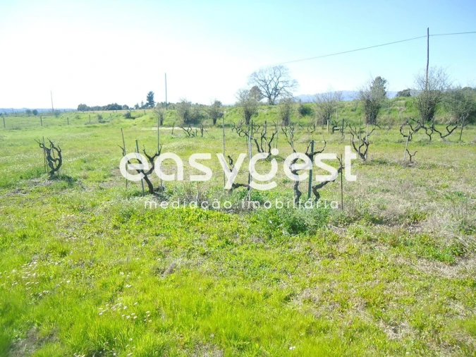 Terreno Agricola ou Rústico para Venda em Orca Foto 46