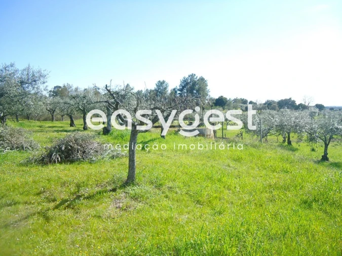 Terreno Agricola ou Rústico para Venda em Orca Foto 49
