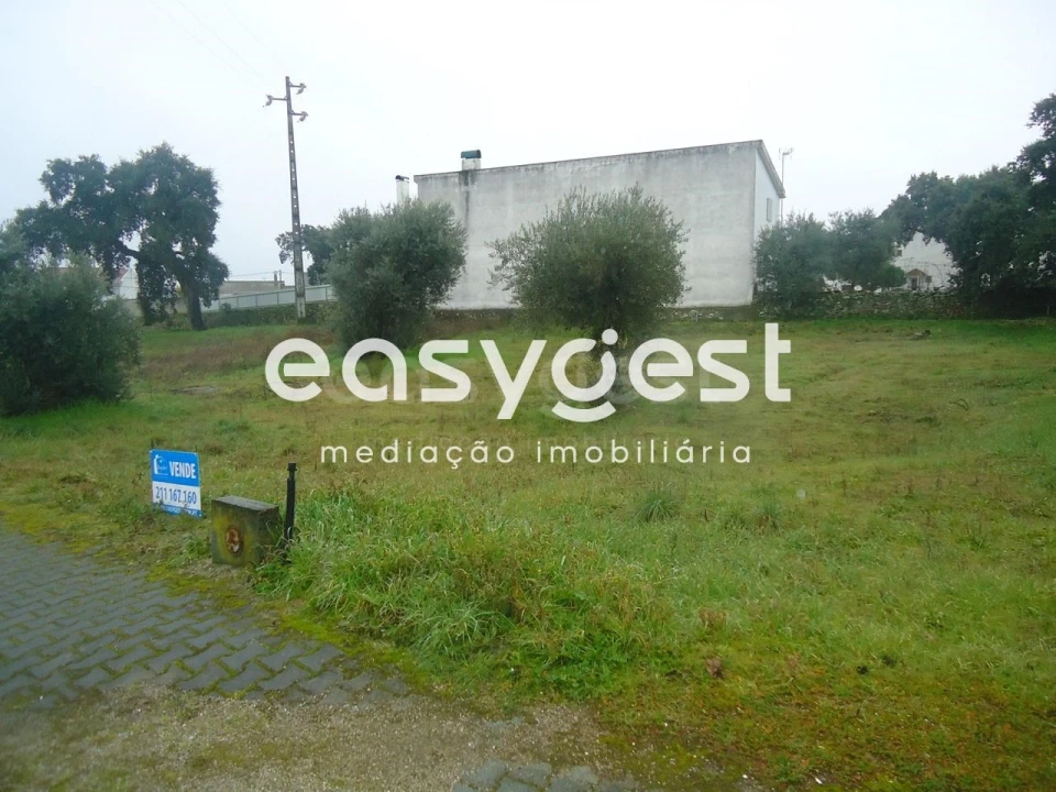 Terreno para Venda em Escalos de Cima e Lousa Foto 2