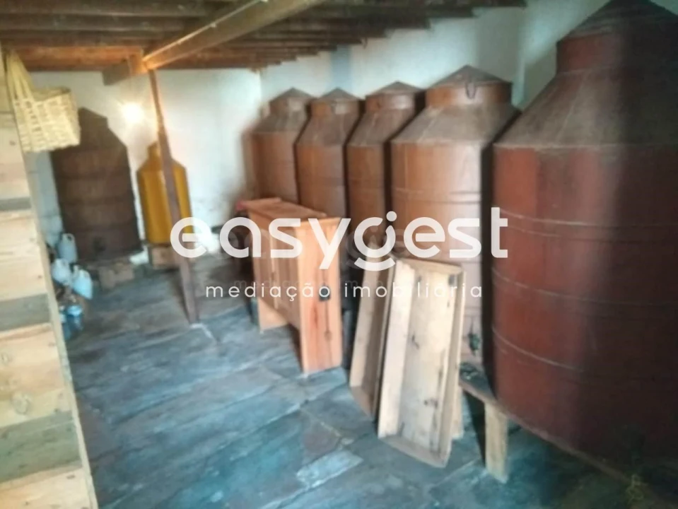 Quinta T5 para Venda em Vila Velha de Rodão Foto 23