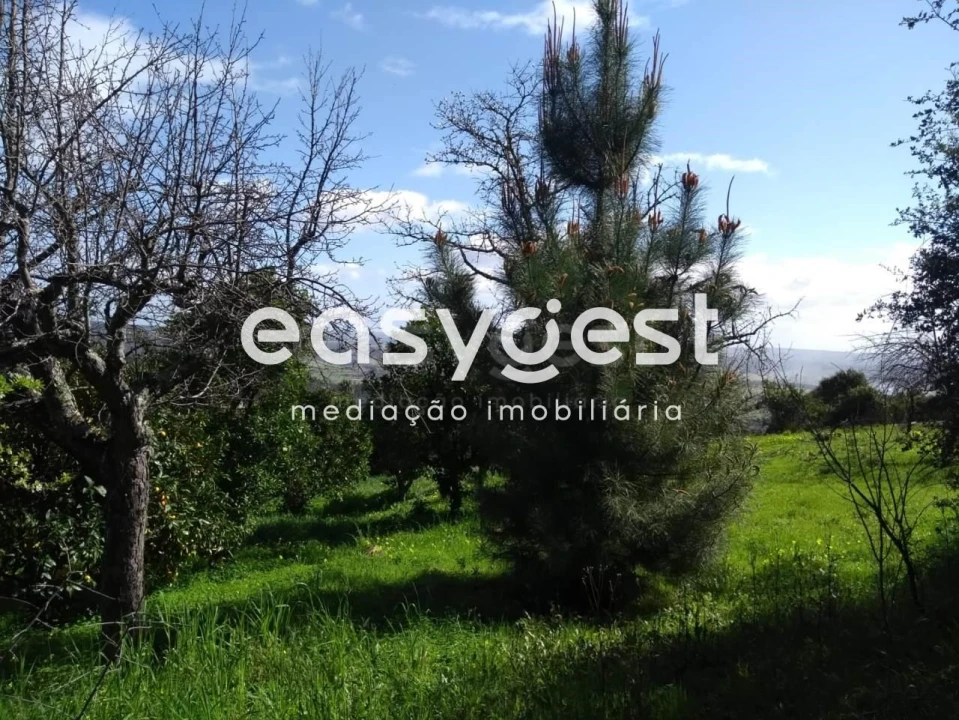 Quinta T5 para Venda em Vila Velha de Rodão Foto 28