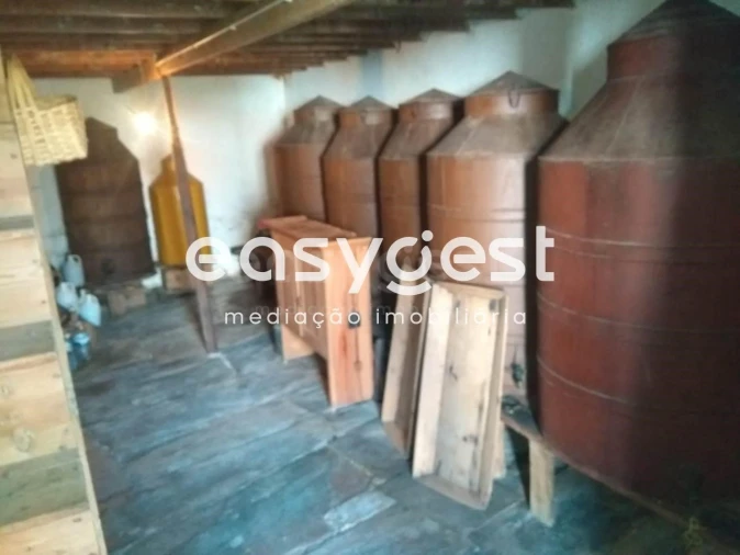 Quinta T5 para Venda em Vila Velha de Rodão Foto 23