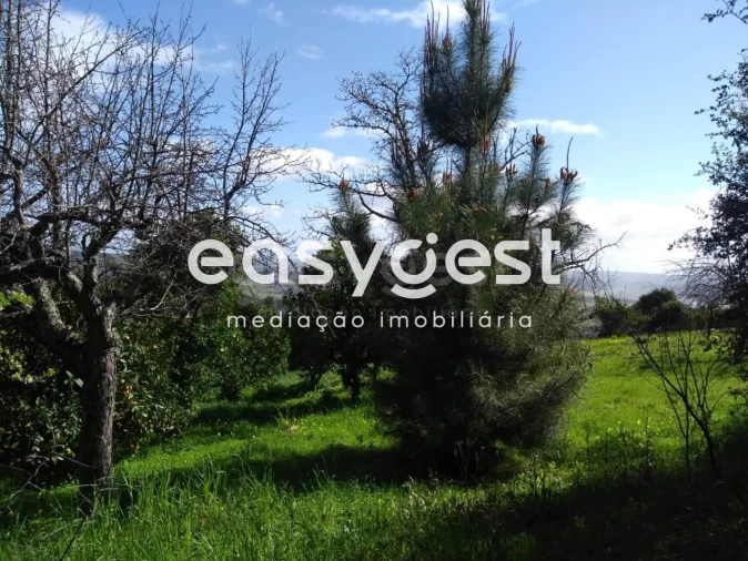 Quinta T5 para Venda em Vila Velha de Rodão Foto 28