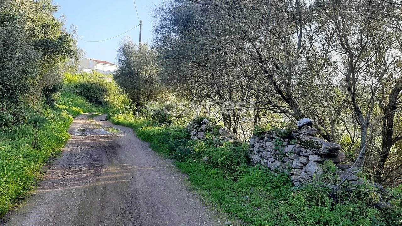 Terreno Agricola ou Rústico para Venda em Almargem do Bispo, Pêro Pinheiro e Montelavar Foto 5