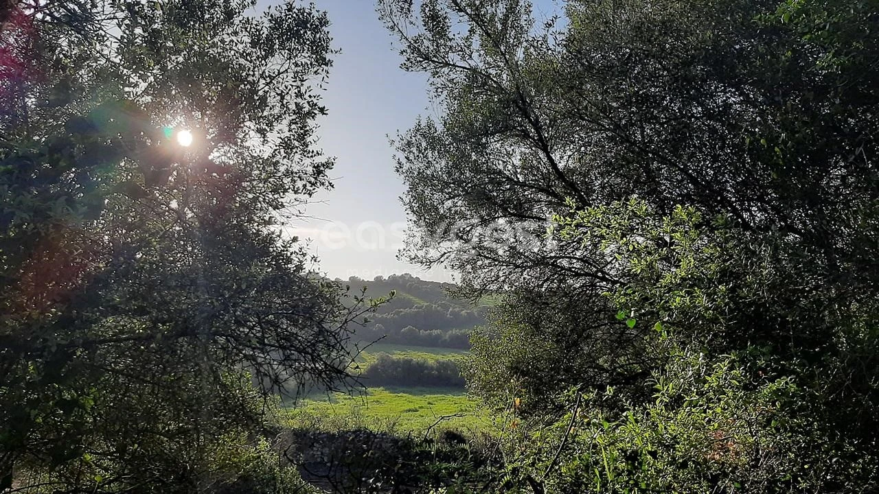 Terreno Agricola ou Rústico para Venda em Almargem do Bispo, Pêro Pinheiro e Montelavar Foto 8
