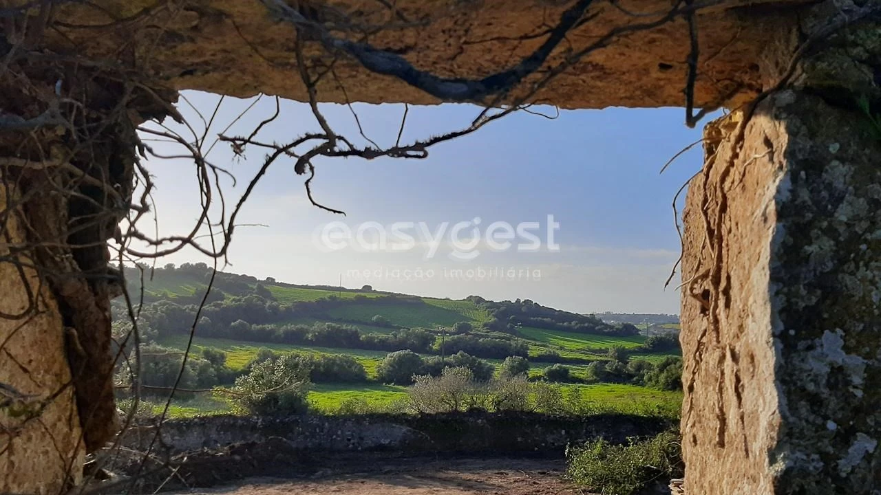 Terreno Agricola ou Rústico para Venda em Almargem do Bispo, Pêro Pinheiro e Montelavar Foto 10