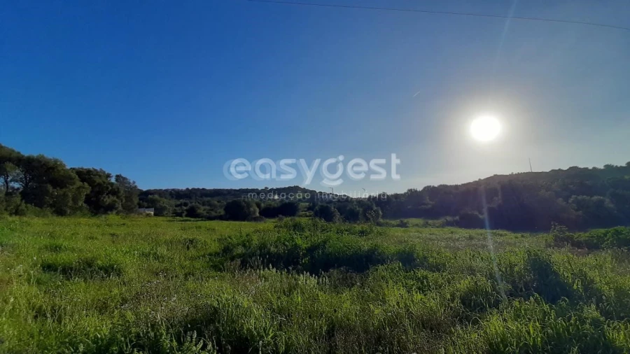 Terreno Agricola ou Rústico para Venda em Almargem do Bispo, Pêro Pinheiro e Montelavar Foto 3