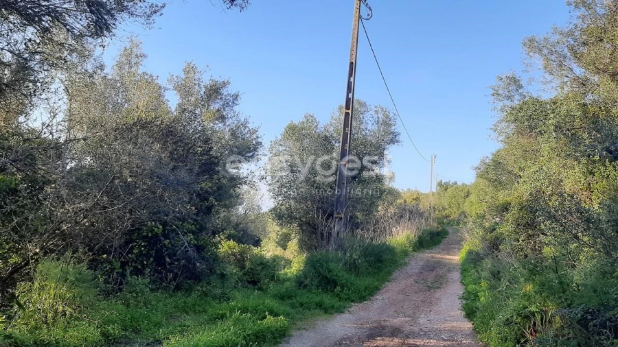 Terreno Agricola ou Rústico para Venda em Almargem do Bispo, Pêro Pinheiro e Montelavar Foto 4