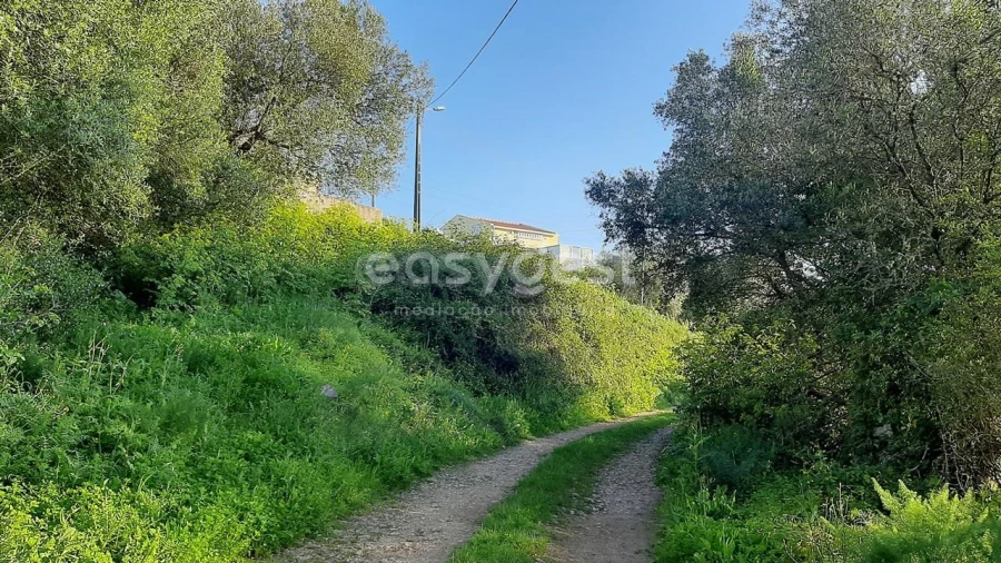 Terreno Agricola ou Rústico para Venda em Almargem do Bispo, Pêro Pinheiro e Montelavar Foto 7