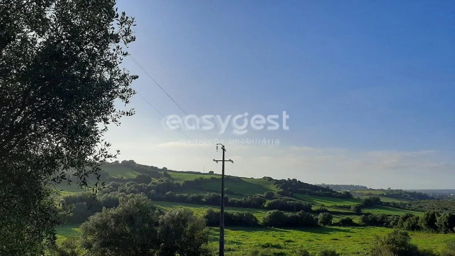 Terreno Agricola ou Rústico para Venda em Almargem do Bispo, Pêro Pinheiro e Montelavar Foto 15