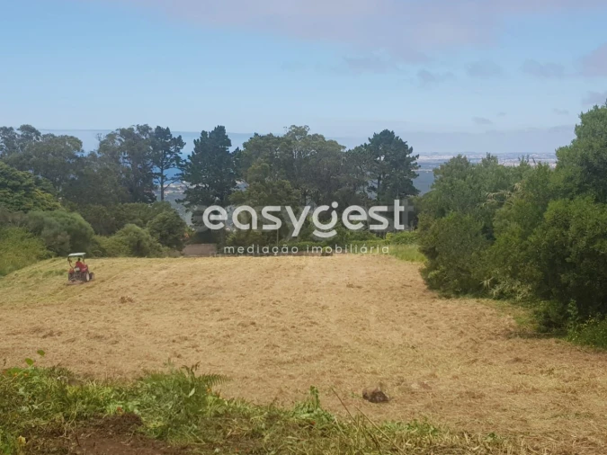 Terreno para Venda em Santa Maria e São Miguel, São Martinho, São Pedro Penaferrim Foto 3