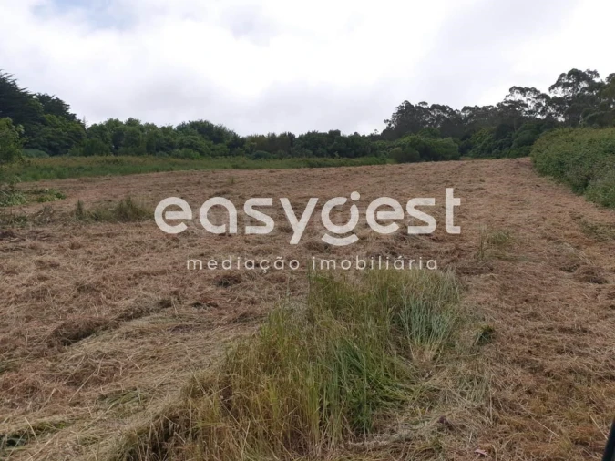 Terreno para Venda em Santa Maria e São Miguel, São Martinho, São Pedro Penaferrim Foto 6