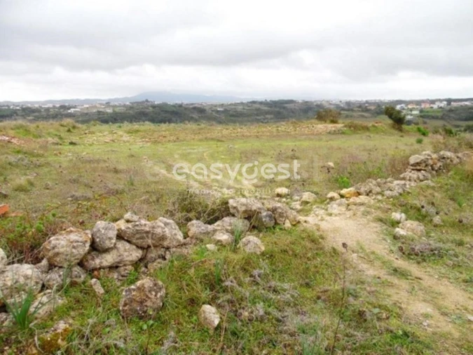 Terreno Agricola ou Rústico para Venda em São João das Lampas e Terrugem Foto 6