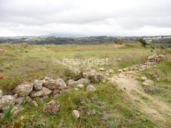 Terreno Agricola ou Rústico para Venda em São João das Lampas e Terrugem Foto 14
