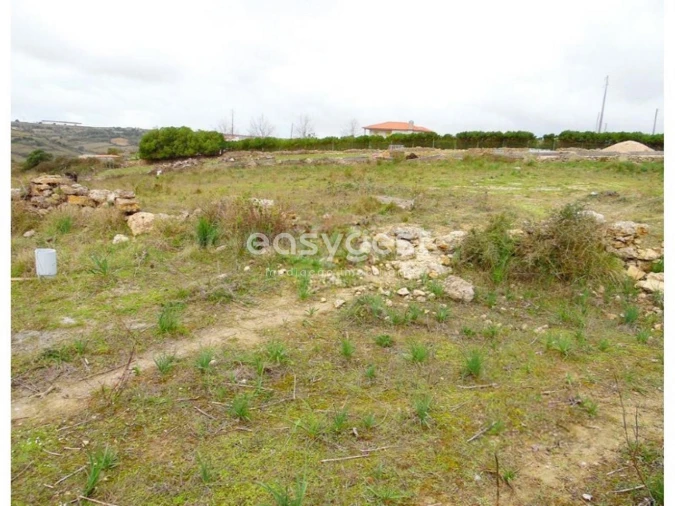 Terreno Agricola ou Rústico para Venda em São João das Lampas e Terrugem Foto 15