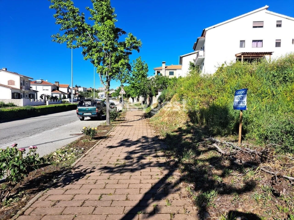 Terreno para Venda em Torre de Moncorvo Foto 5